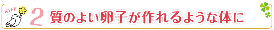 2.質のよい卵子が作れるような体に