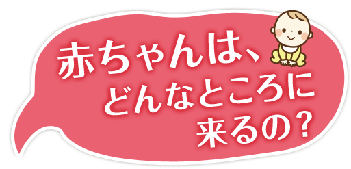 赤ちゃんは、どんなところに来るの?